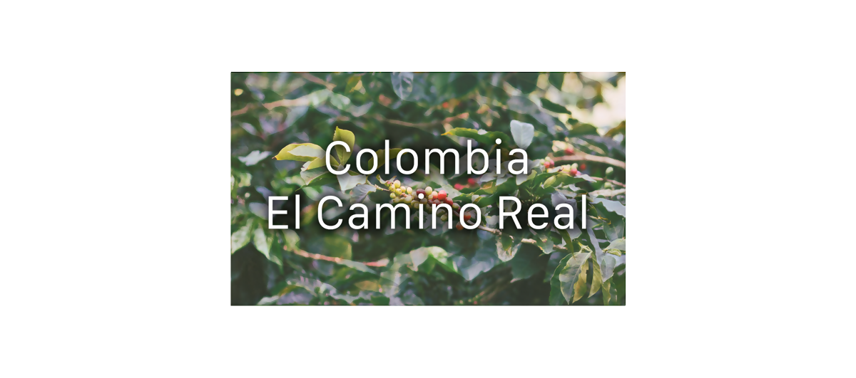 Colombia Supremo - Single Origin Coffee
